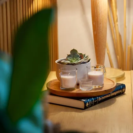 Symphony - Free Parking & Airport Taxi 公寓 *