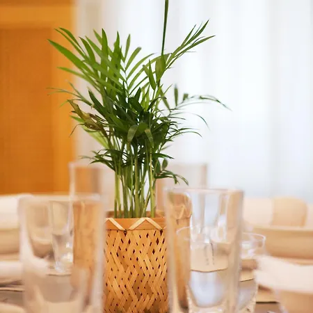 公寓 Symphony - Free Parking & Airport Taxi